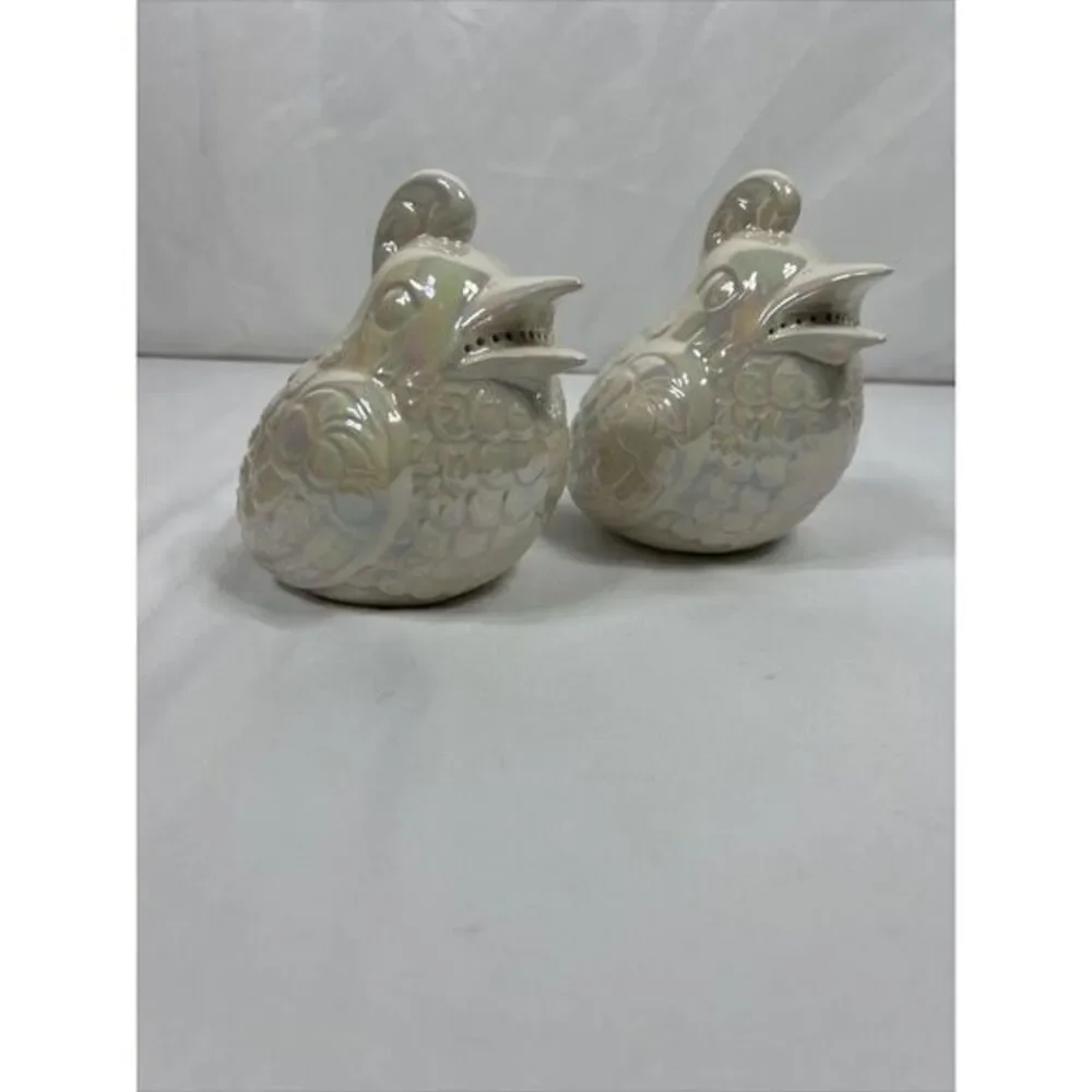 Ceramic Large Shaker Set‎ Glaze Birds Kitchen Cleanser Shaker 5